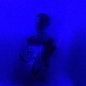 Meet your Posher, Quincy